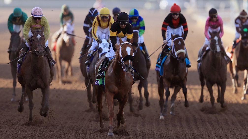 Finest City's finest hour: the Filly & Mare Sprint at the Breeders' Cup last year