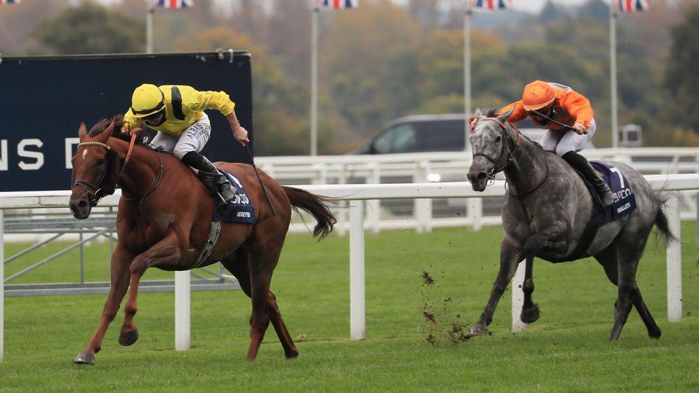 Addeybb's  finest hour in Britain came in last year's Qipco Champion Stakes