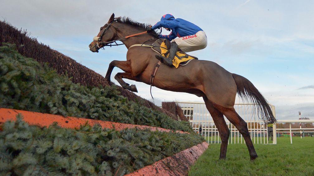 Cue Card needs to rediscover his jumping mojo in order to win a fourth Betfair Chase