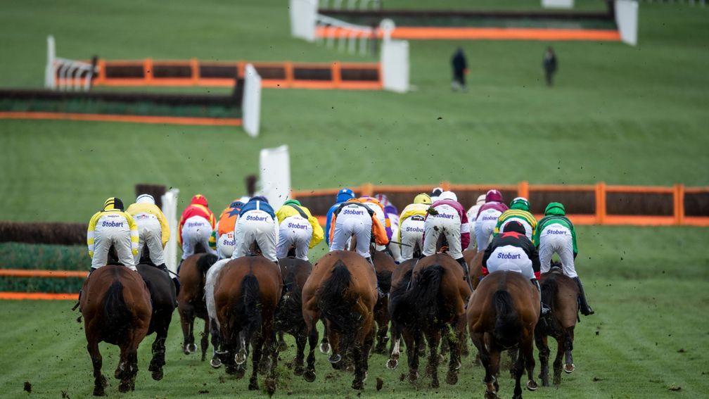 Cheltenham: will open a strip of fresh ground ahead of the final day of the meeting