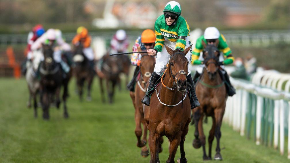 Minella Times: the Grand National hero could also return in the John Durkan