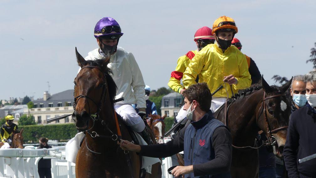 Face masks have become a familiar sight on French racecourses this spring
