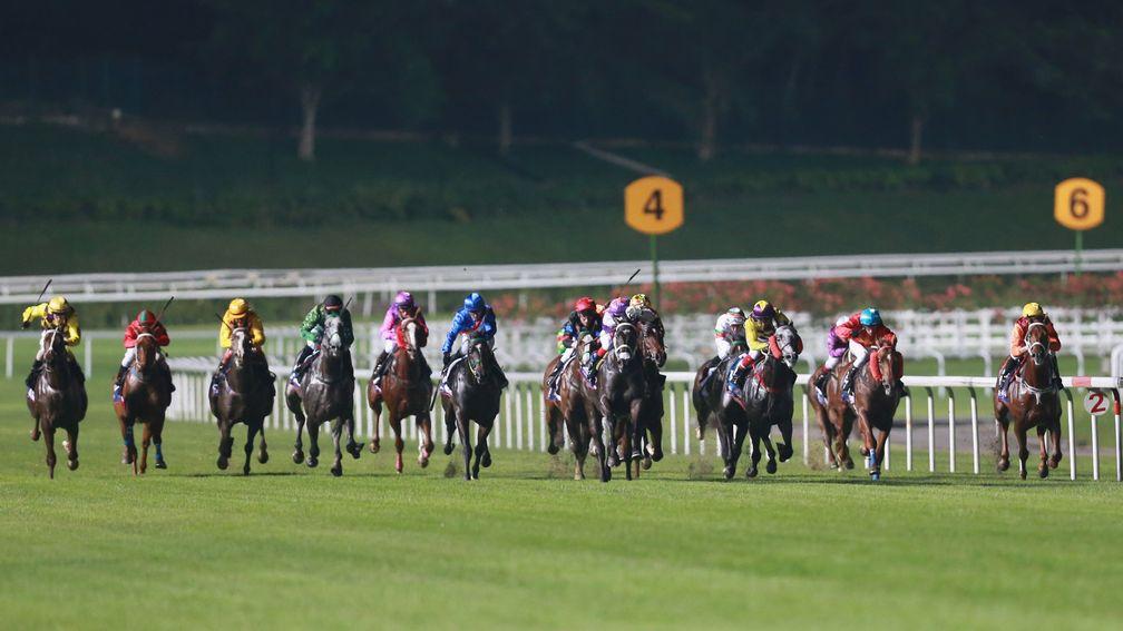Horses come into the final straight on the turf track at Kranji in Singapore