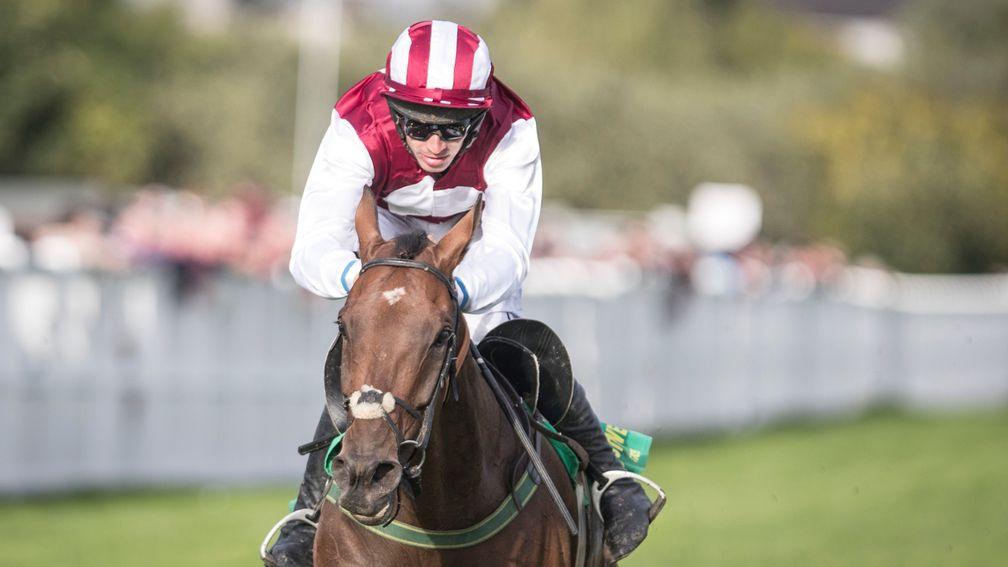Nibblers Charm: former course winner is 12lb higher than when winning at the Galway festival
