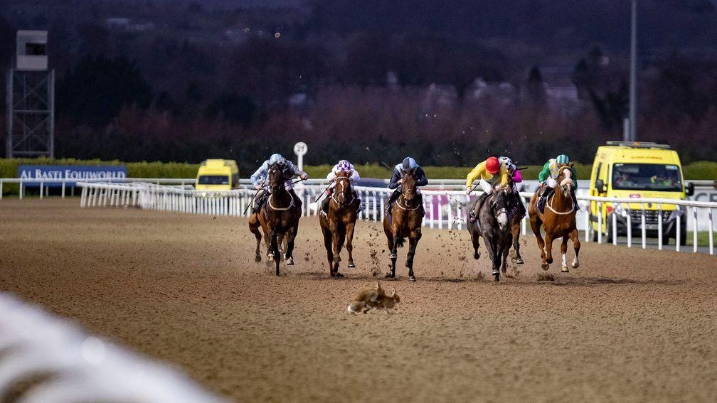 Dundalk is Ireland's only all-weather track at present but where will a second artifical surface be installed?