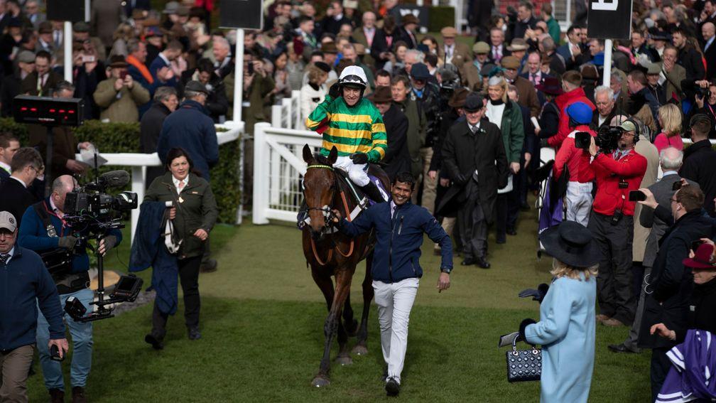 Champ: a half-brother to the RSA Chase hero is among the Goffs Land Rover Sale catalogue