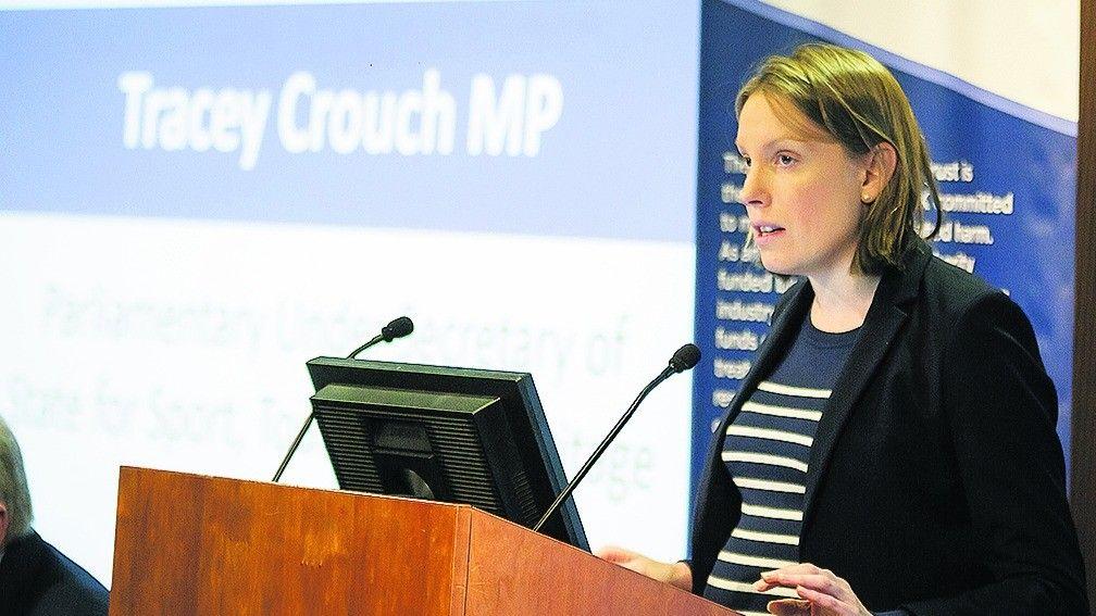 Sports minister Tracey Crouch said the government would take a close look at specific concerns surrounding gaming machines