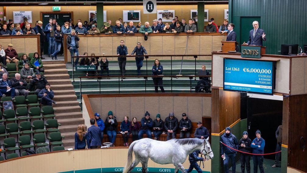 Alpha Centauri becomes the second lot to make €6 million in the ring on Friday