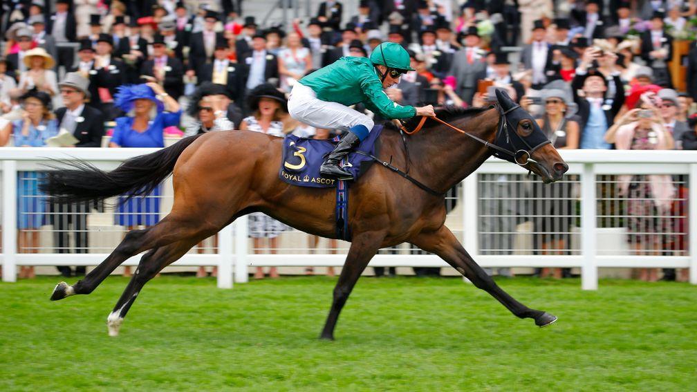 Aljazzi: returning to Frankel once again after foaling a filly by the dual world champion