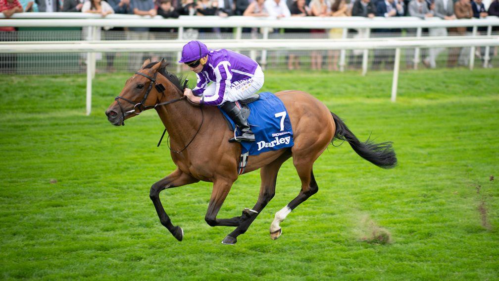 Snowfall: three-time Oaks star, top Ballydoyle filly and a leading daughter of Deep Impact