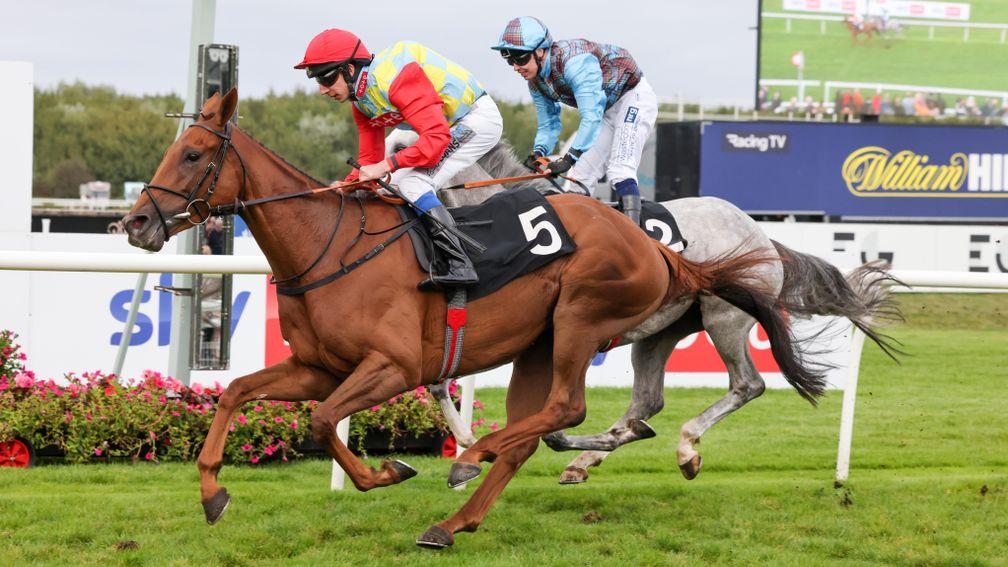 Haizoom holds off Ravenscraig Castle to land the Musselburgh Gold Cup on Sunday
