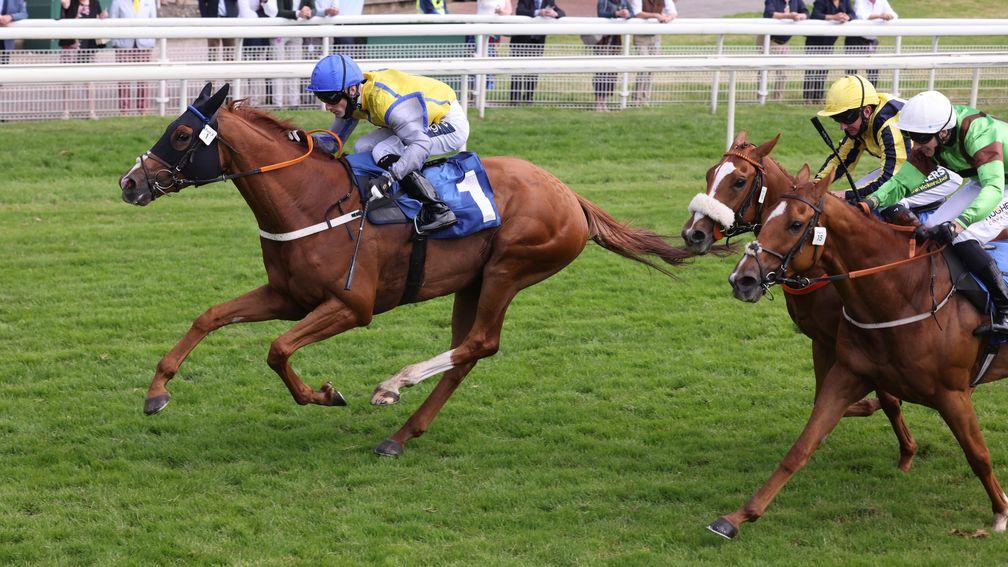 Goobinator (left) scores at York to become Donald McCain's first winner at the track