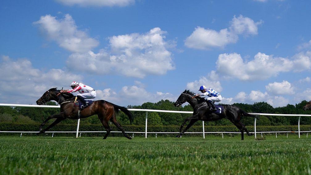 Adaay To Remember (left) followed up an impressive debut with victory at Lingfield