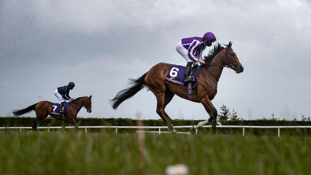 Joan Of Arc: the Irish 1,000 Guineas runner-up is the big hope for Aidan O'Brien