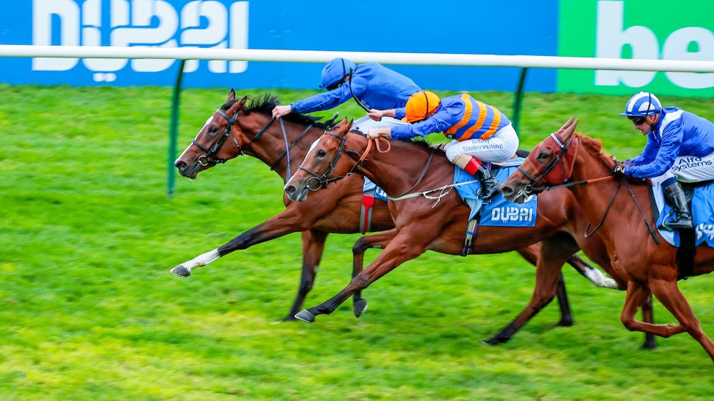 Dream Of Love: winner at Newmarket on debut