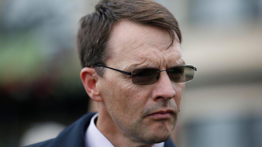 Aidan O'Brien: holds the trainers' record of six British and Irish Classic victories in one year