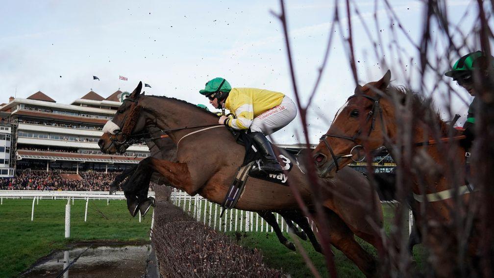 Mandarin winner Carole's Destrier produced a commendable effort in the Classic Chase