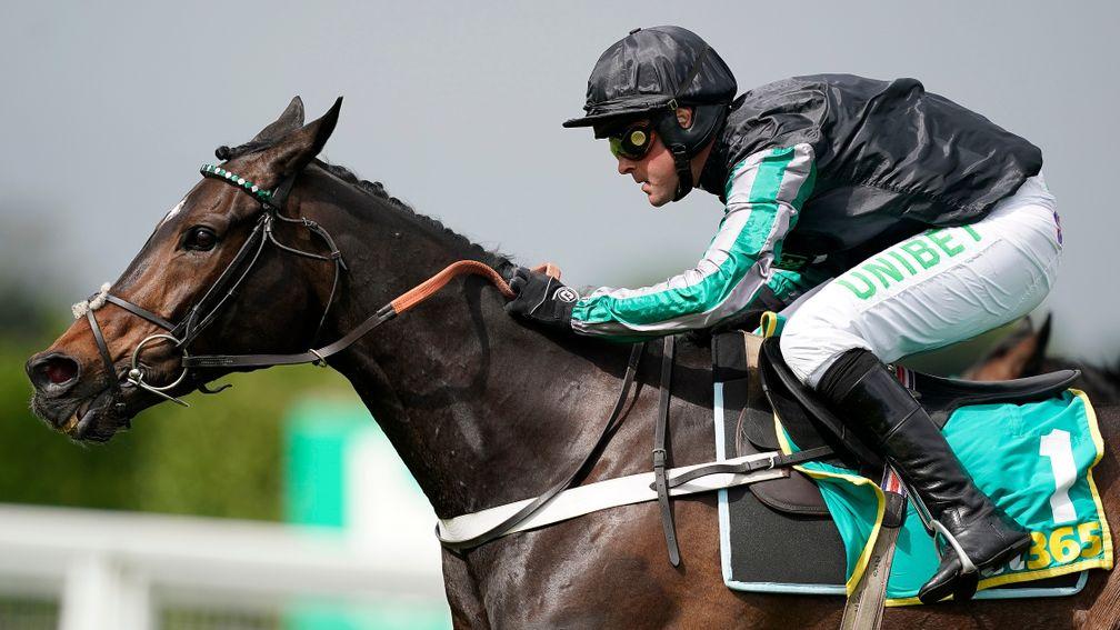 Altior: chasing a fourth win in the Celebration Chase