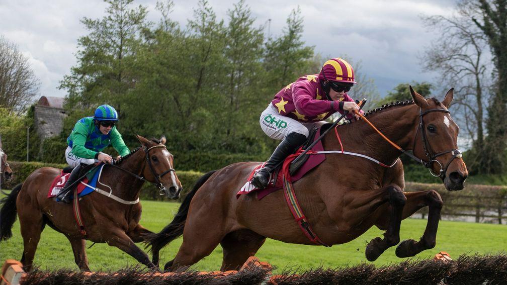 Carefully Selected (left) shaped well behind Minella Indo at Punchestown
