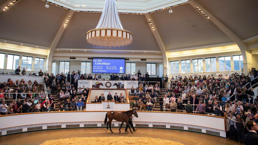 Tattersalls: the December Mares Sale takes place this week