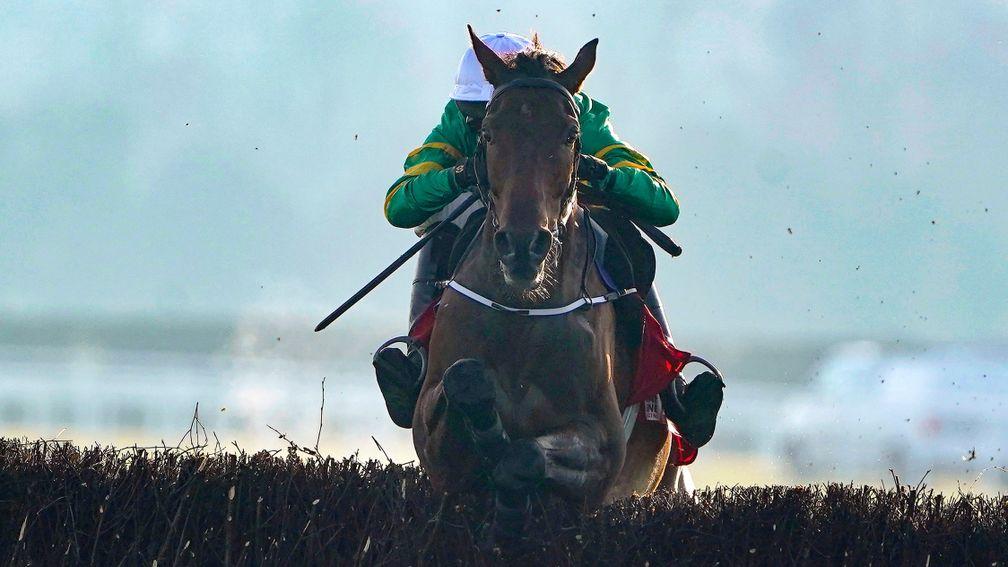 Fakir D'Oudairies is left clear in the Drinmore Novice Chase after Samcro's fall at the second-last fence