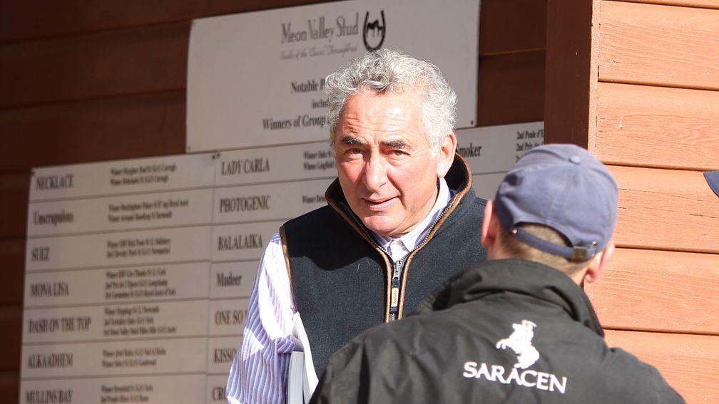 Mark Weinfeld: 'We've been very lucky with horses who haven't sold over the years'