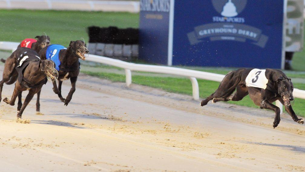 Dorotas Wildcat wins the Star Sports Greyhound Derby final at Towcester