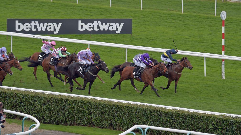 Bravery (far side) denies Oh This Is Us (purple) to the delight of bookmakers