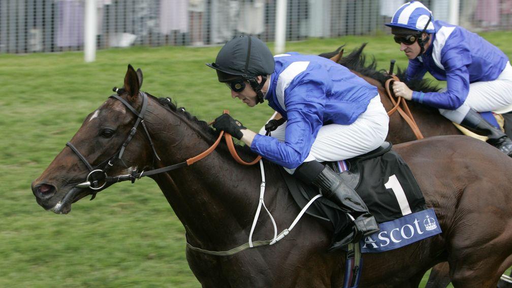 Bandari and Willie Supple lead home Maraahel for a Shadwell 1-2 in the Hardwicke Stakes during Royal Ascot at York in June 2005