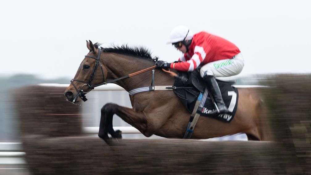 Coneygree: retired after running at Ascot last year