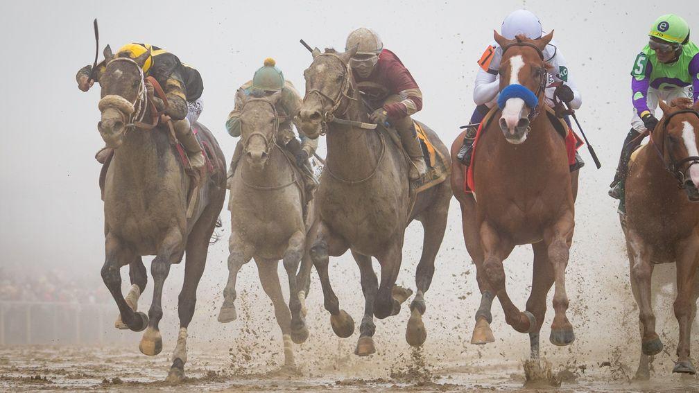 Justify (second right): repelled all challengers to land the Preakness Stakes last year