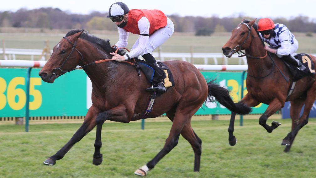 Bullace: could be a future star for Toronado
