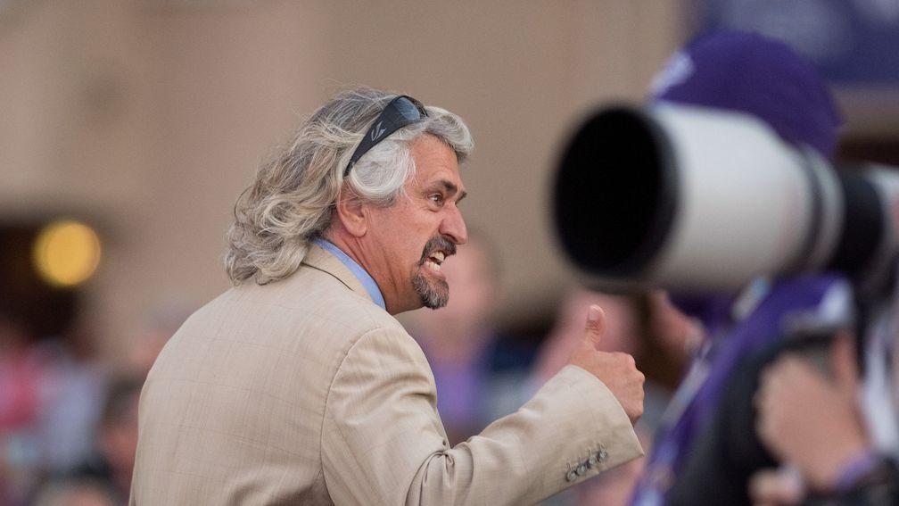 Steve Asmussen: saddled the first three home in the Hopeful Stakes