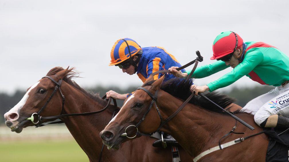 La Petite Coco: chinned Love at the Curragh on Sunday