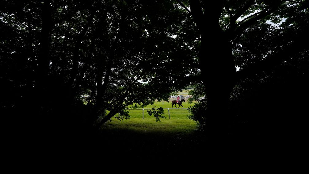 ESHER, ENGLAND - JULY 01: Daniel Muscutt riding Rocket Rodney return after winning The Coral Dragon Stakes at Sandown Park on July 01, 2022 in Esher, England. (Photo by Alan Crowhurst/Getty Images)