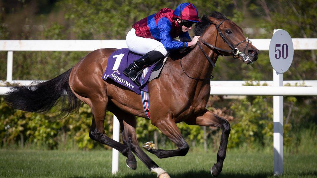 Alfred Munnings: a Ballydoyle banker in the opener