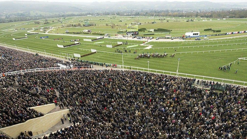 The Cheltenham Festival is the biggest event on the racing calendar, but barely registers on some online sports sites