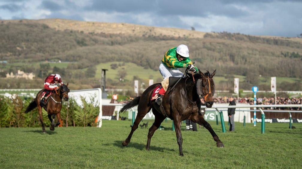 Easysland beats Tiger Roll in the Glenfarclas Chase at Cheltenham