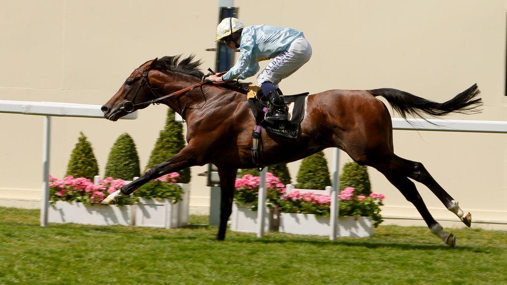 July Sale entrant Arab Spring lands the 2014 Duke of Edinburgh Stakes at Royal Ascot