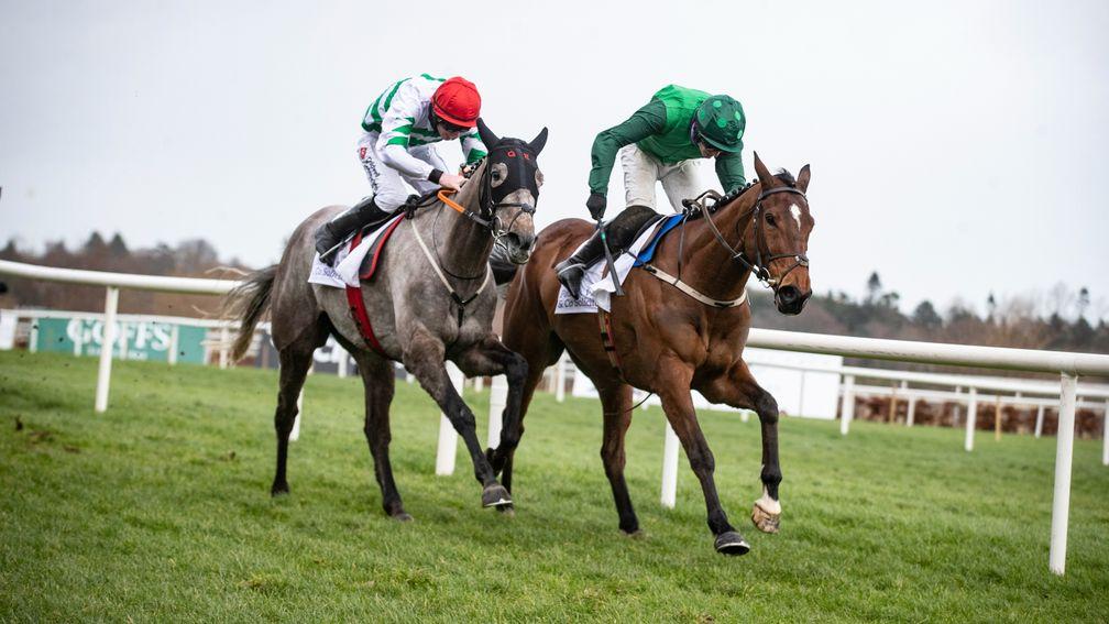 Blue Lord (Paul Townend,right) fights out the finish to the Grade 1 Irish Arkle with Rivere Dâetel.Leopardstown.Photo: Patrick McCann/Racing Post05.02.2022