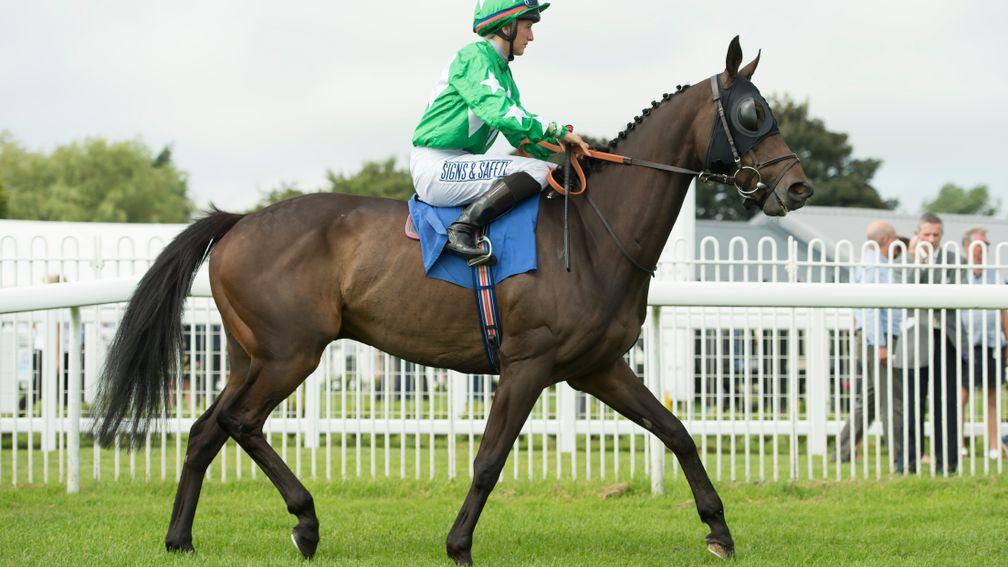 Jonnie Skull: only the fourth horse ever to reach 200 starts in Britain