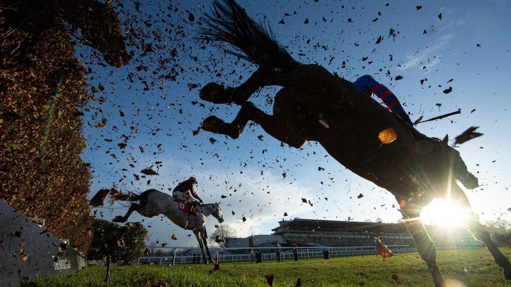 The birch is sent flying as the runners in the 3m handicap chase take a fence in front of the stands on the first circuitSandown 18.2.21 Pic: Edward Whitaker/Racing Post