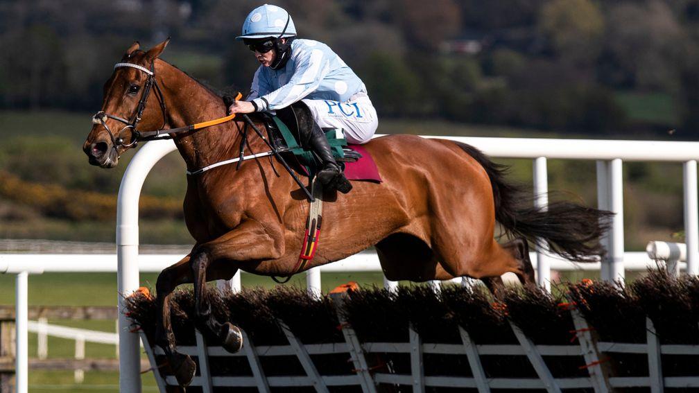 Honeysuckle: will bid to bounce back from a shock defeat in the Hatton's Grace Hurdle in Sunday's Irish Champion