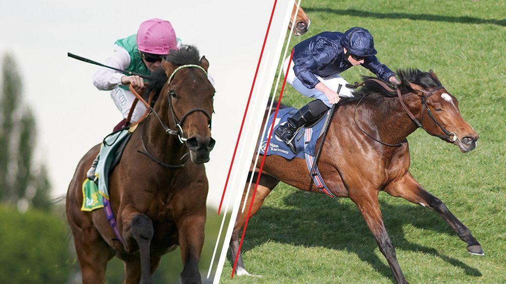 Westover (left) and Tuesday: set to clash in the Irish Derby on Saturday