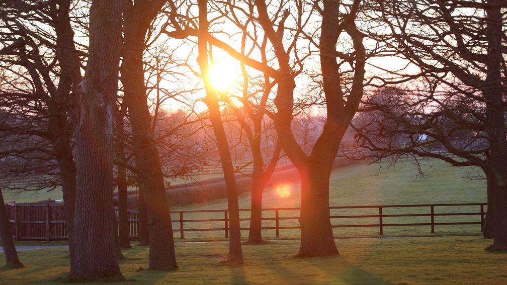 A frosty morning at Banstead Manor Stud