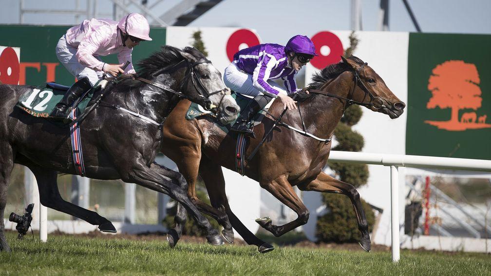 Hydrangea and Padraig Beggy edge out Winter in the Ballylynch Stud 1,000 Guineas Trial Stakes at Leopardstown