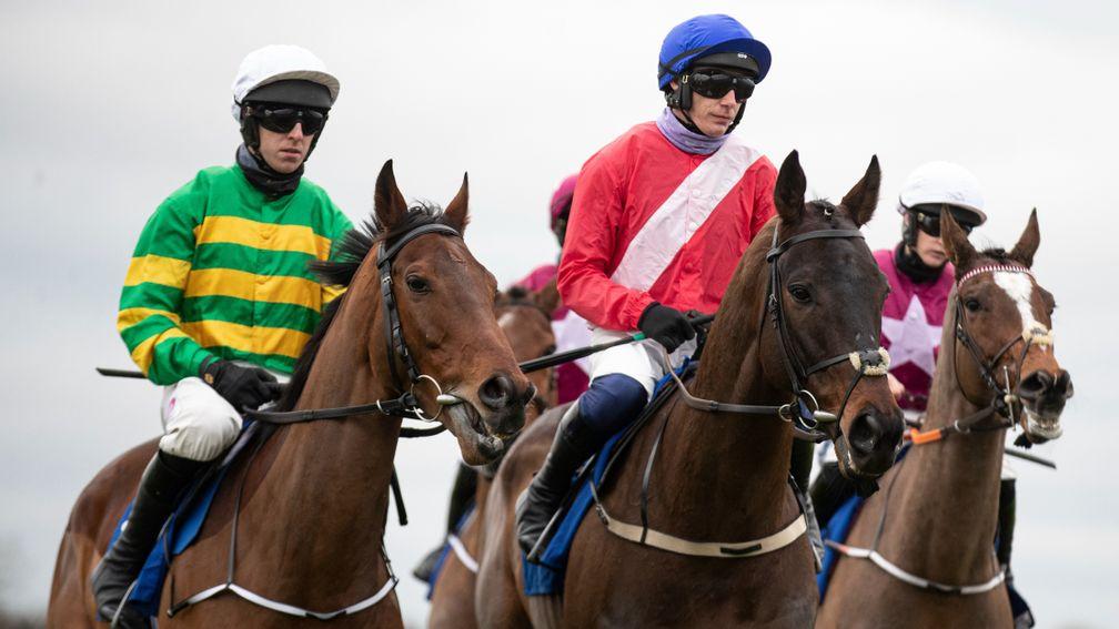 Allaho (centre): a dominant display at Thurles on Sunday