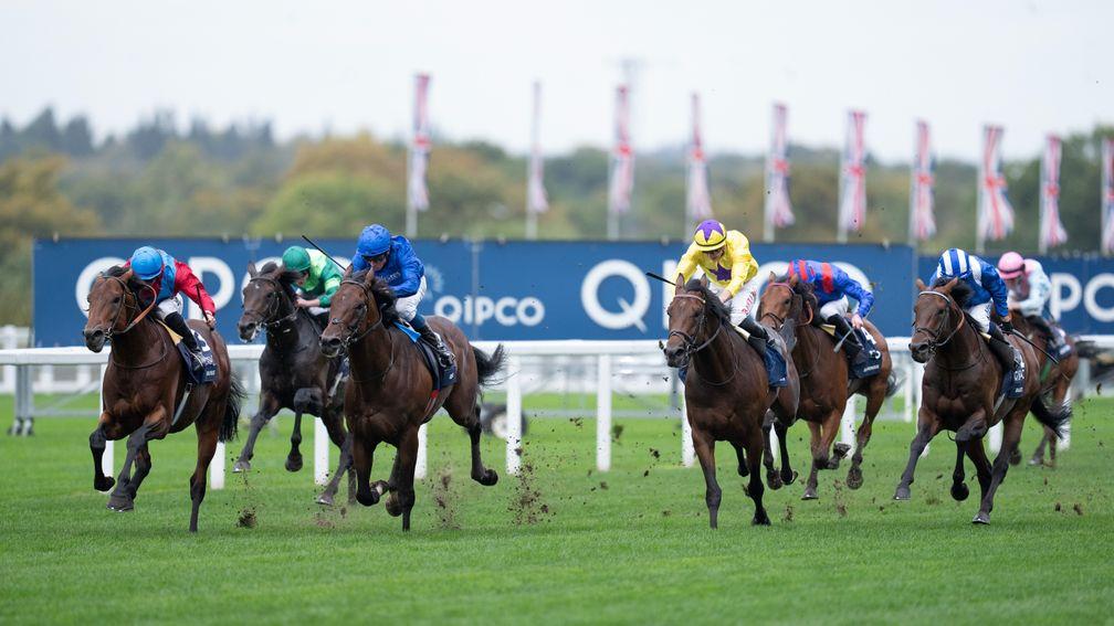 Baaeed (far right) only manages fourth as Bay Bridge (left) wins for Sir Michael Stoute and Richard Kingscote