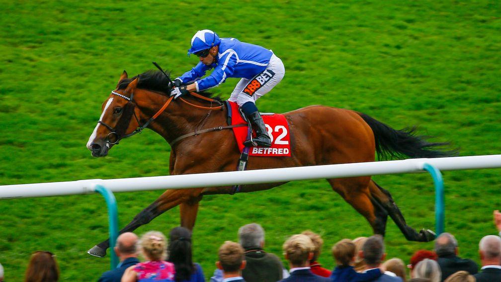 Withhold: makes first appearance since Cesarewitch triumph last October