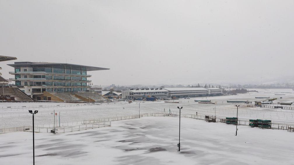 Home straight: the famous Cheltenham hill covered in snow